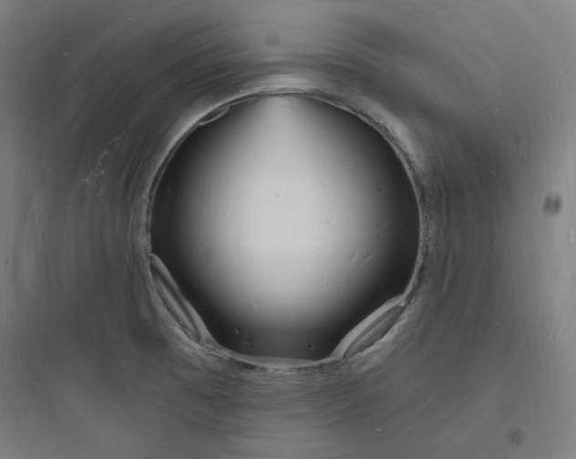 X0000093721473200711060925