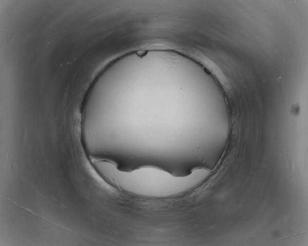 X0000093721476200711060925
