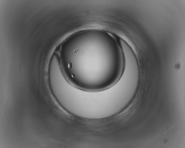 X0000093721477200711060925