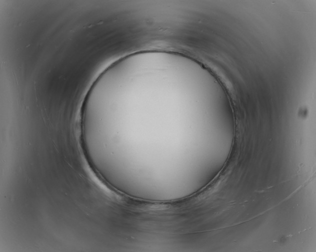 X0000093721479200711060925