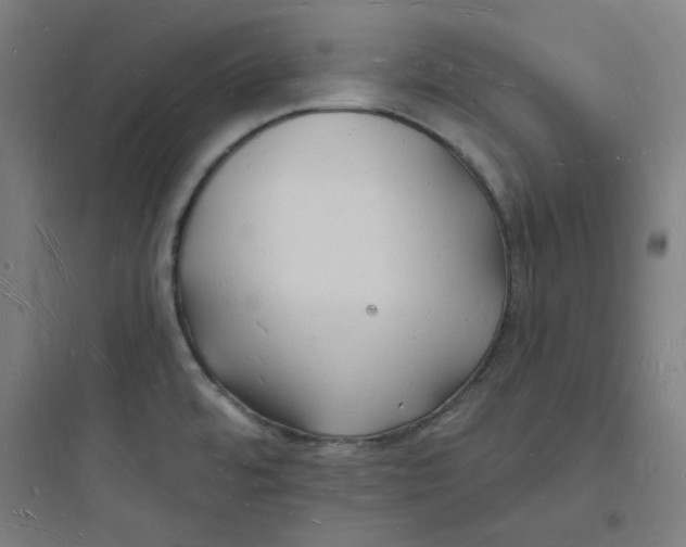 X0000093721480200711060925