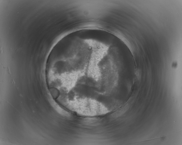 X0000093721482200711060925