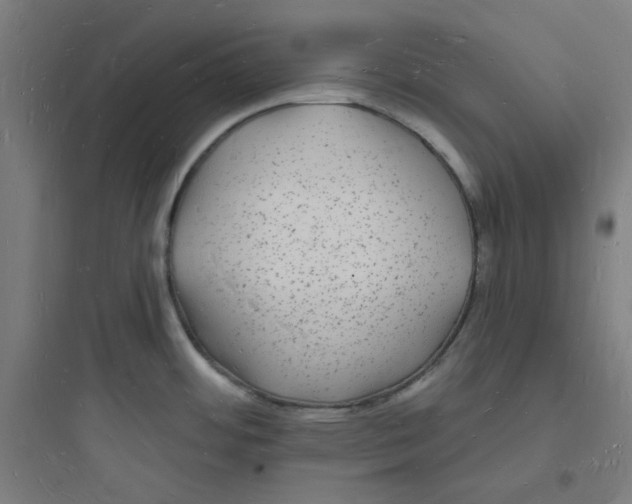 X0000093721484200711060925
