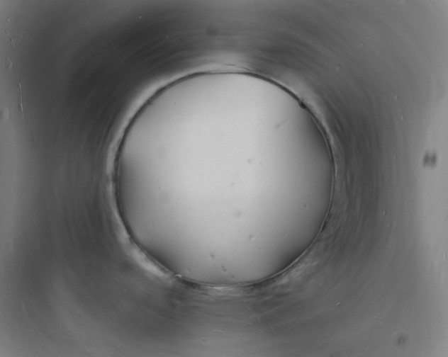 X0000093721488200711060925