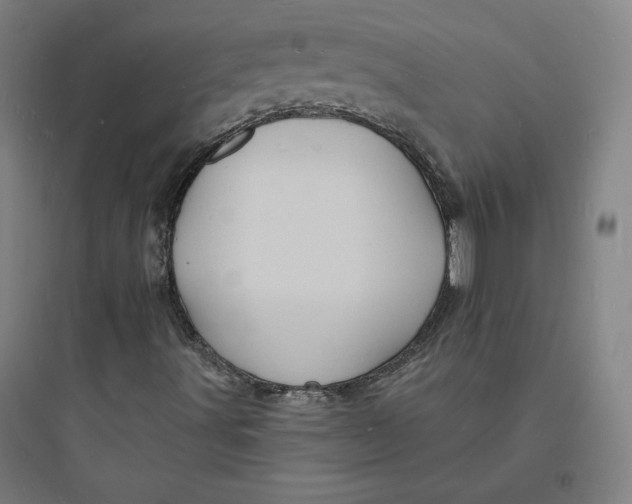 X0000093721491200711060924