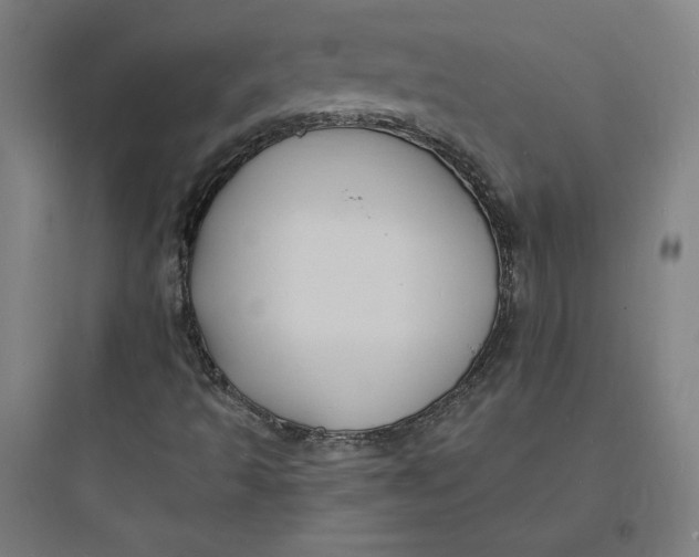 X0000093721493200711060925