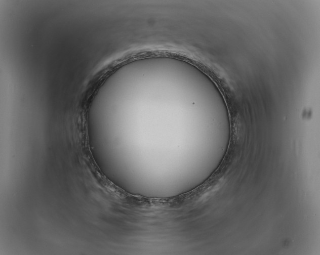 X0000093721494200711060925