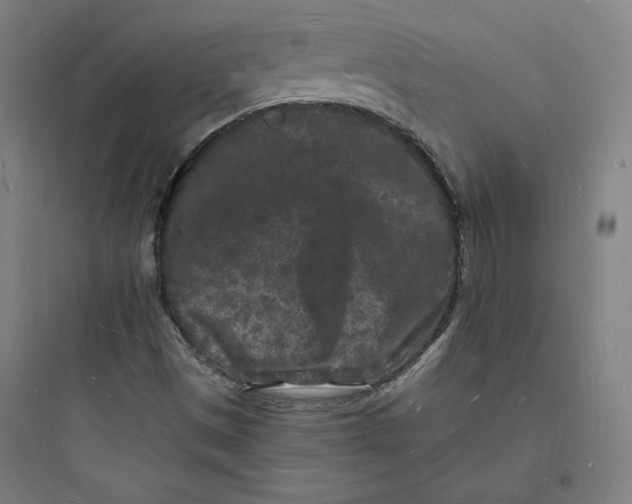 X0000093721497200711060925