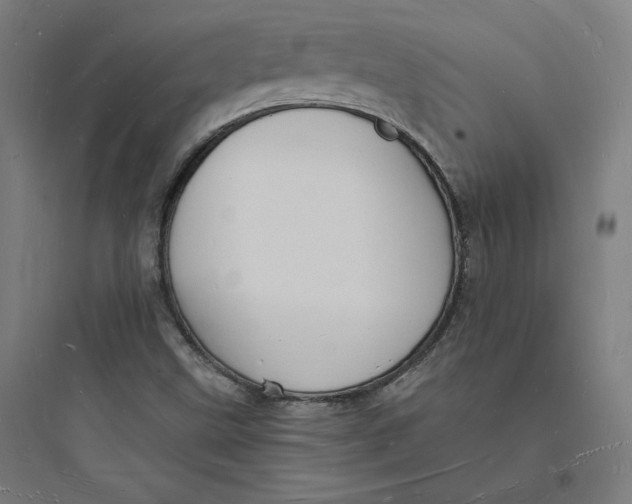 X0000093721499200711060925