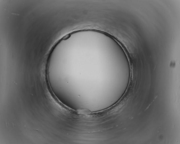 X0000093721500200711060925