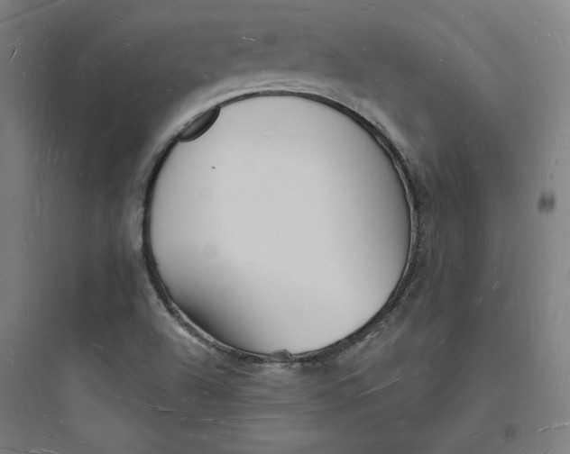 X0000093721504200711060925
