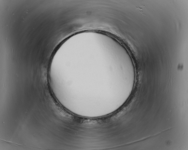 X0000093721505200711060925