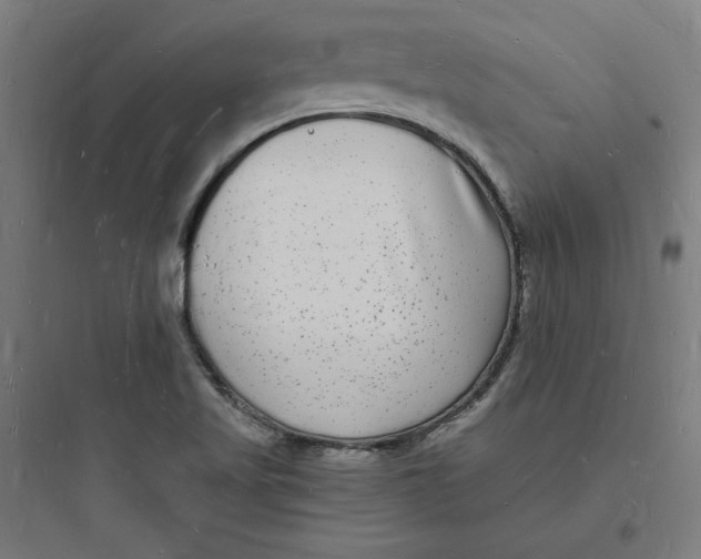 X0000093721509200711060925