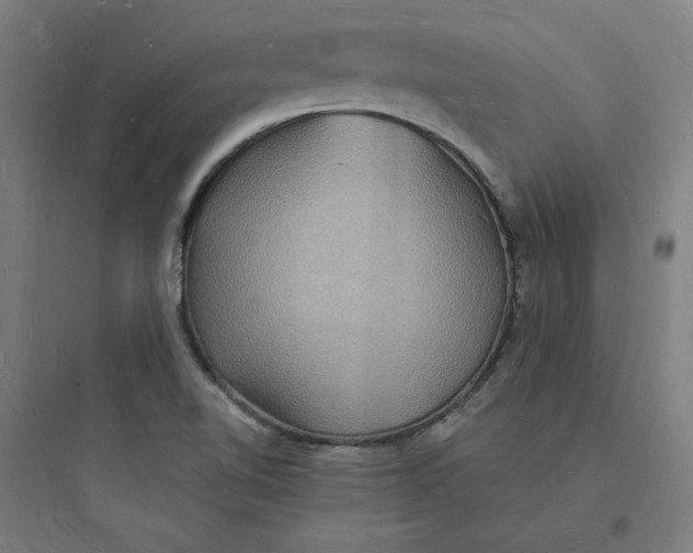 X0000093721510200711060925