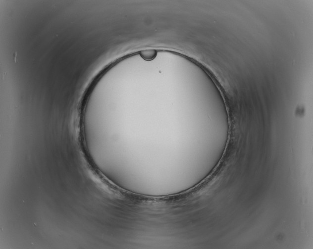 X0000093721511200711060925