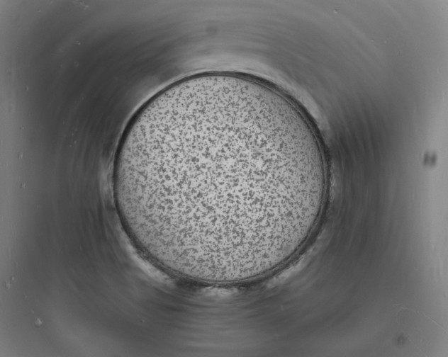 X0000093721513200711060925