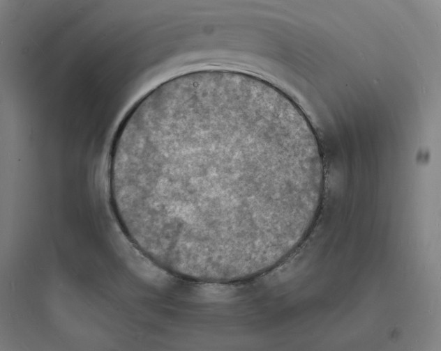 X0000093721514200711060925