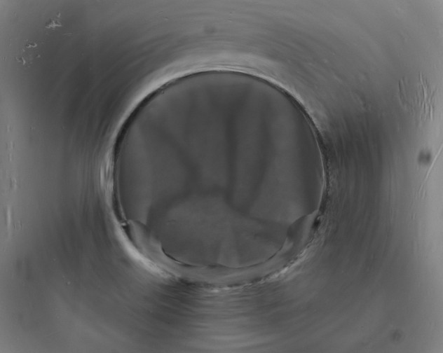 X0000093721515200711060925