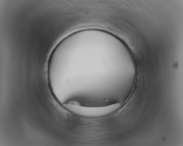 X0000093721516200711060925