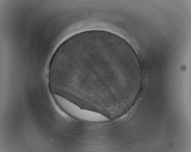 X0000093721519200711060925