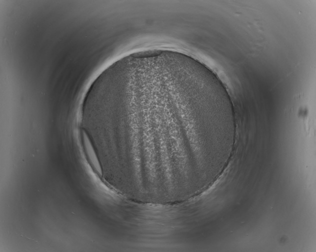 X0000093721520200711060925