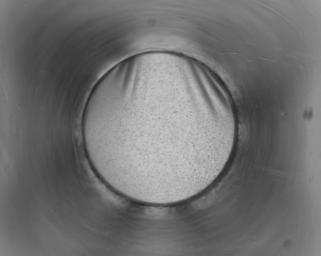 X0000093721521200711060925