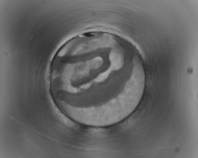 X0000093721522200711060925