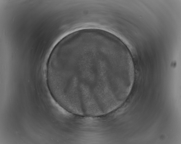 X0000093721527200711060925