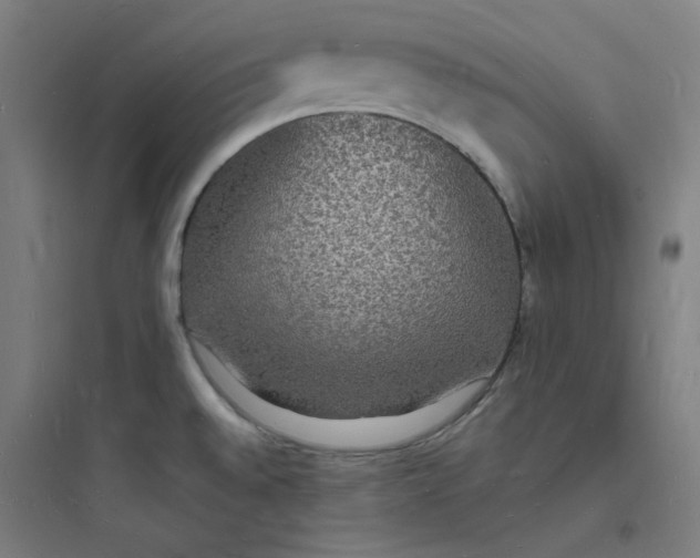 X0000093721528200711060925