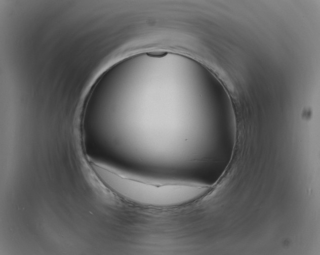 X0000093721530200711060925