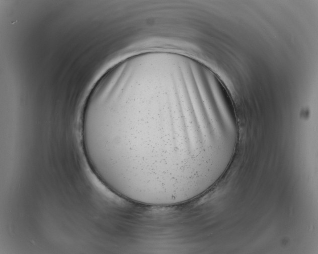 X0000093721531200711060925