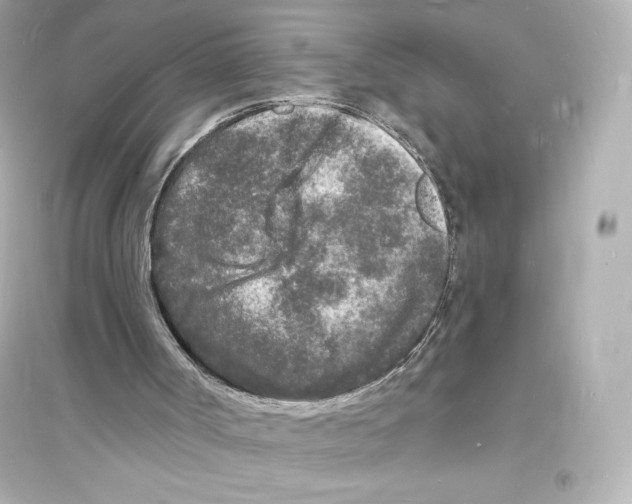 X0000093720002200711131025