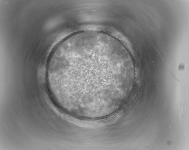 X0000093720012200711131025