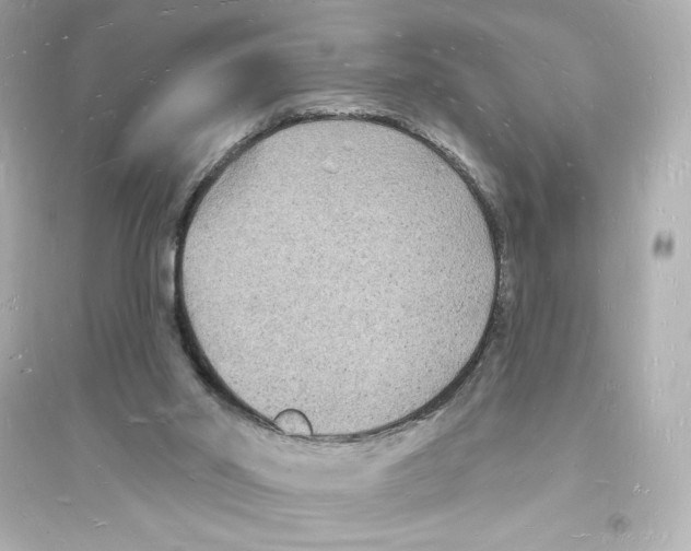 X0000093720014200711131025