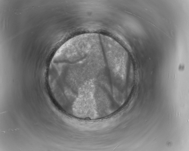 X0000093720018200711131025