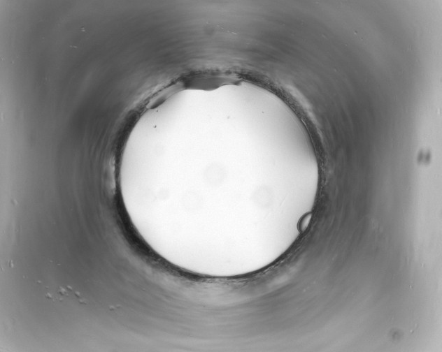 X0000093720020200711131025