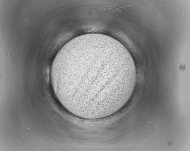 X0000093720022200711131025