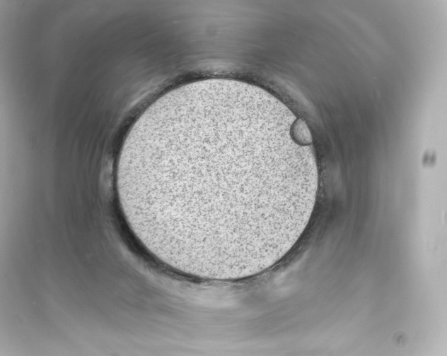 X0000093720024200711131025