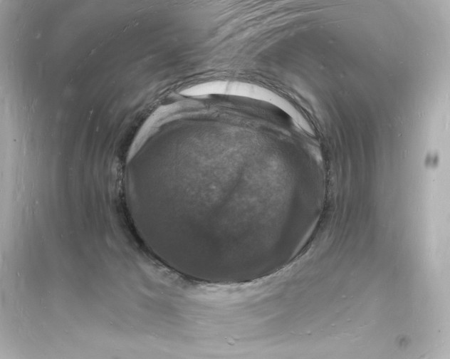 X0000093720029200711131024