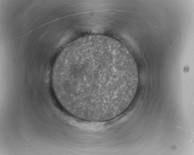 X0000093720032200711131024