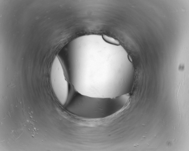 X0000093720033200711131024