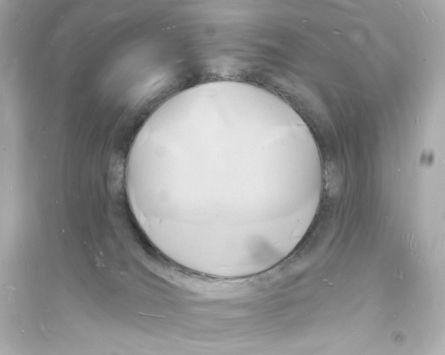 X0000093720036200711131024