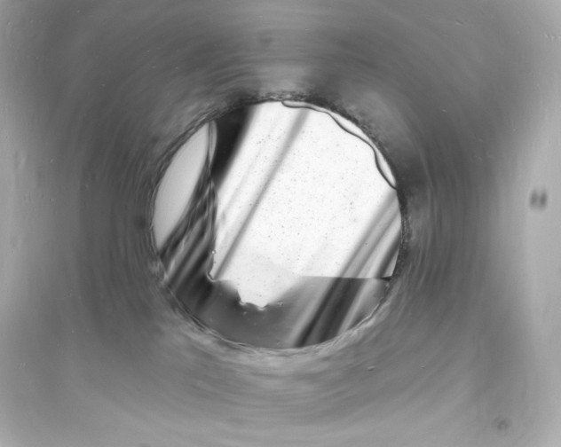 X0000093720041200711131024