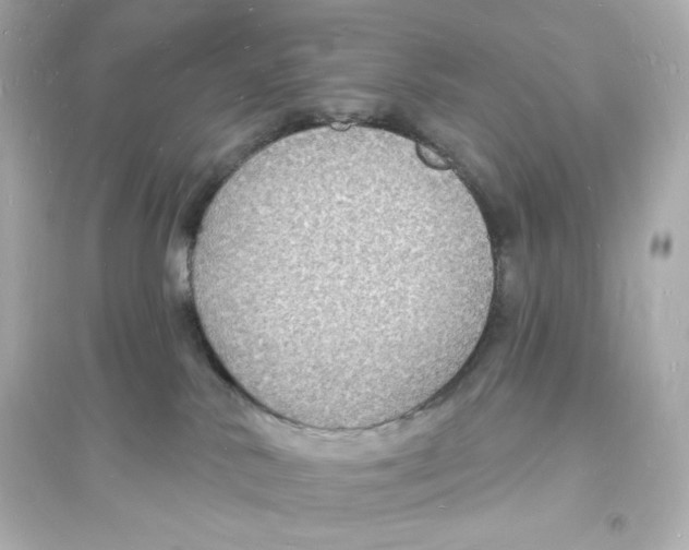 X0000093720042200711131024