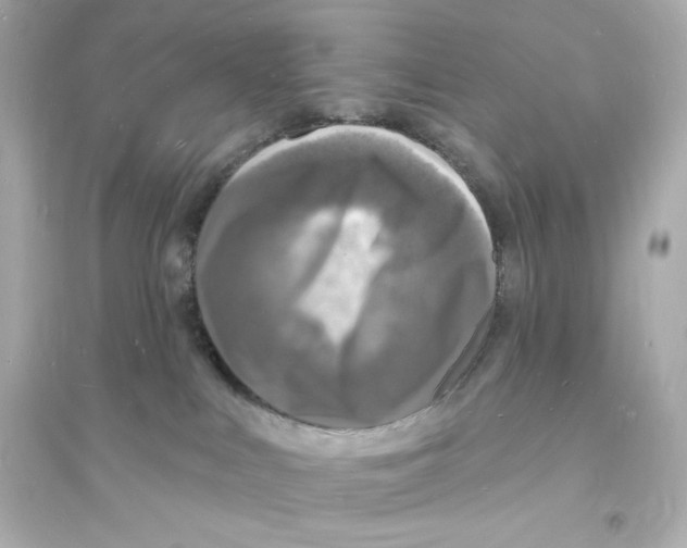 X0000093720043200711131024