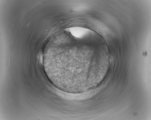 X0000093720046200711131024