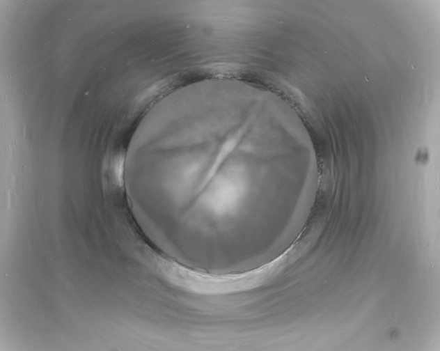 X0000093720047200711131024