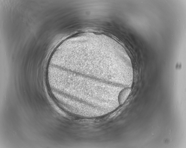 X0000093720049200711131023