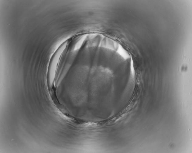 X0000093720052200711131023