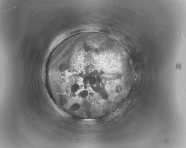 X0000093720053200711131023